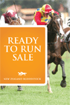 Ready to Run Sale of 2YOs 